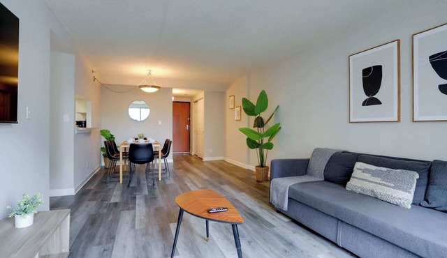 Charming 2BR Apt in Great Location in Arlington