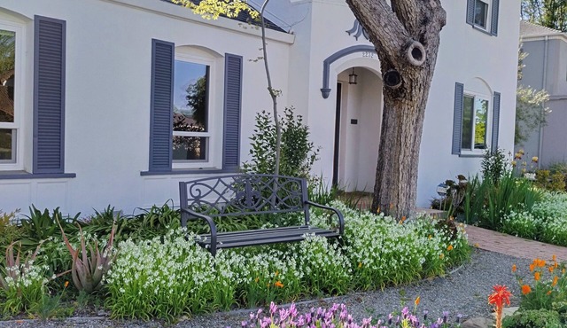 Charming and spacious 3 bedrooms and 2 baths home on a peaceful Street in Stockton