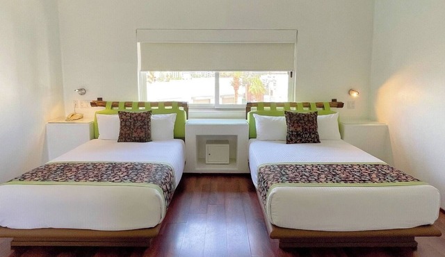 Comfortable Modern Suite w/Central Location & Relaxing Ambiance in Cabo San Lucas