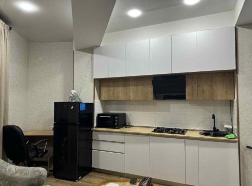 Cozy Apartament in Rustavi