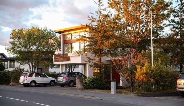 Cozy centrally located Mid-Century Modern 60's villa in Reykjavík in Reykjavík