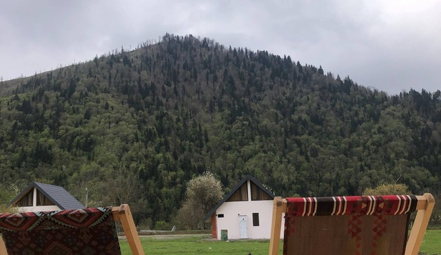 Cozy Hills in Borjomi