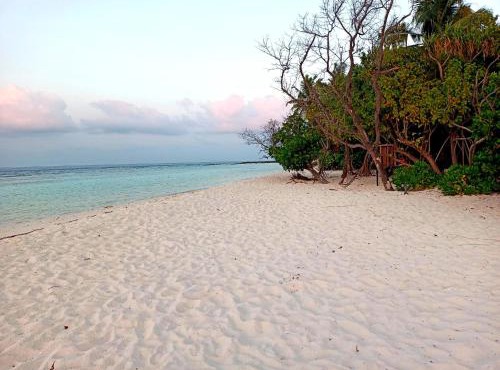 Dhoadhi Beach Maldives in Omadhoo