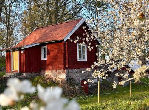 Drängstugan - Tiny House in Osterbymo