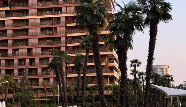 Dreamland Oasis Resort In Chakvi With Sea View