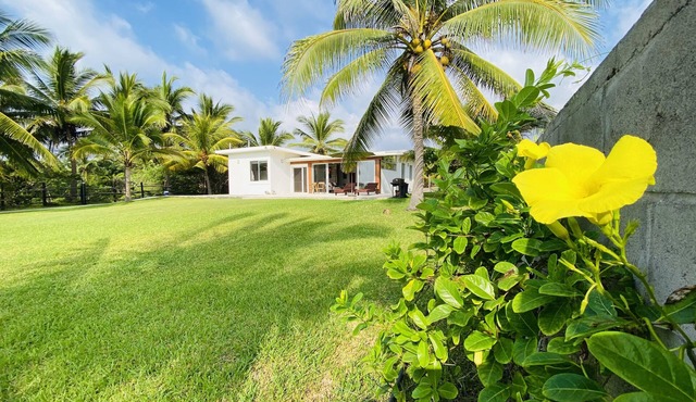 Dwell Ubilam - Beachfront House at Saladita Beach in GRO