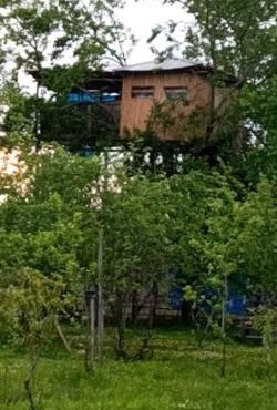 Eagle Nest