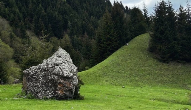 Eco house in beautiful village near Borjomi for a relaxing getaway