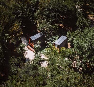 Eco Village In The Forest