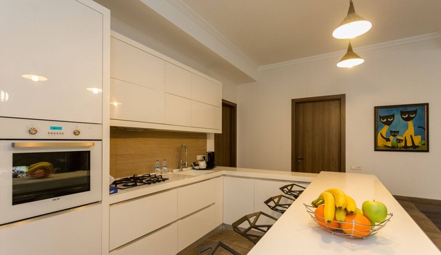 Falcon apartments - Metekhi