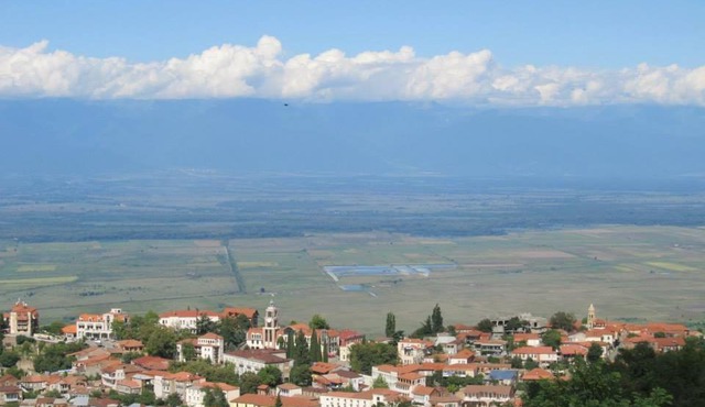 Family Hotel In Nukriani , 2km from Sighnaghi
