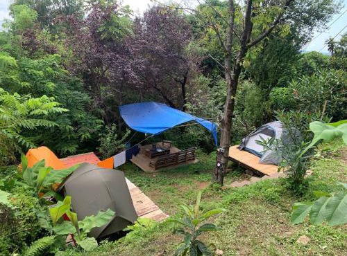 Forest & Sea Campsite