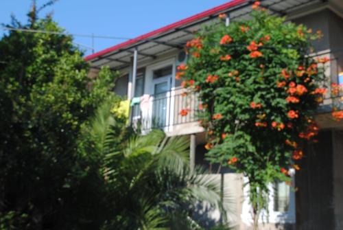 Giga Guest House in Makhinjauri