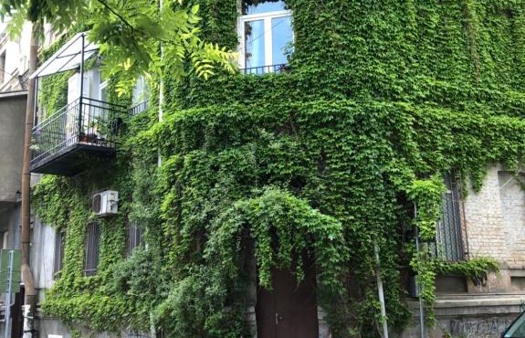 Green House - City Center Tbilisi