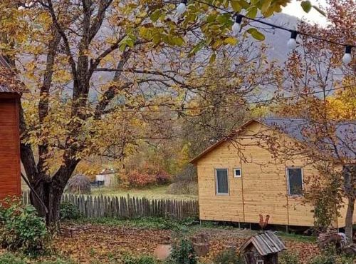 Guest House Brili