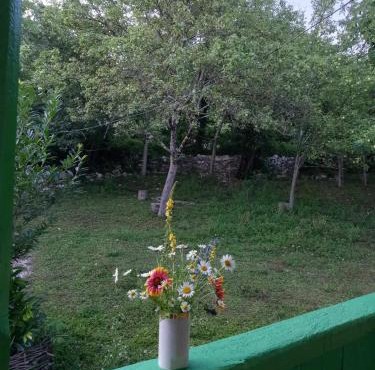 Guest House Guliada