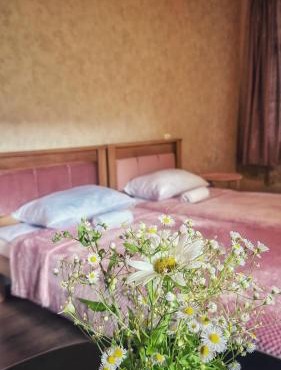guest house zizi