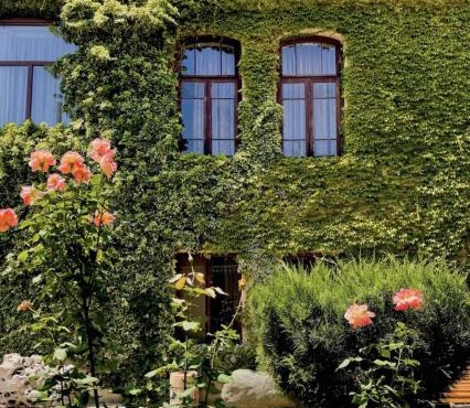 Guesthouse Edena