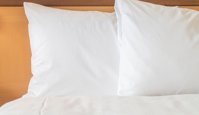 Holiday Inn Express & Suites Wheat Ridge-Denver West by IHG in Wheat Ridge