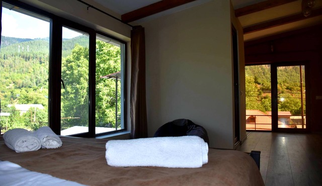 holliday home borjomi