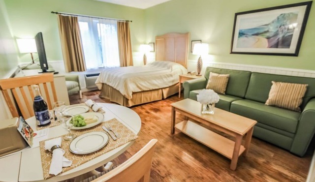 Holly Tree Resort - Studio in Yarmouth