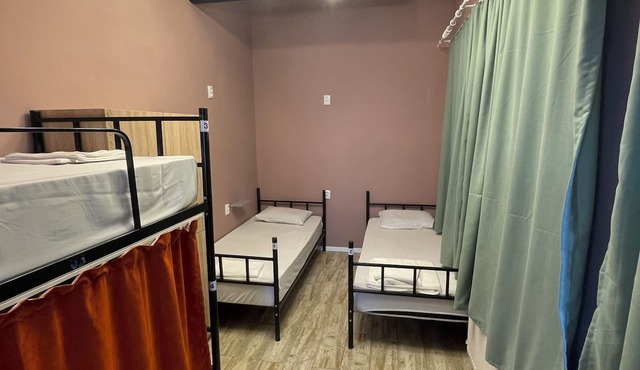 Hostel Room 110
