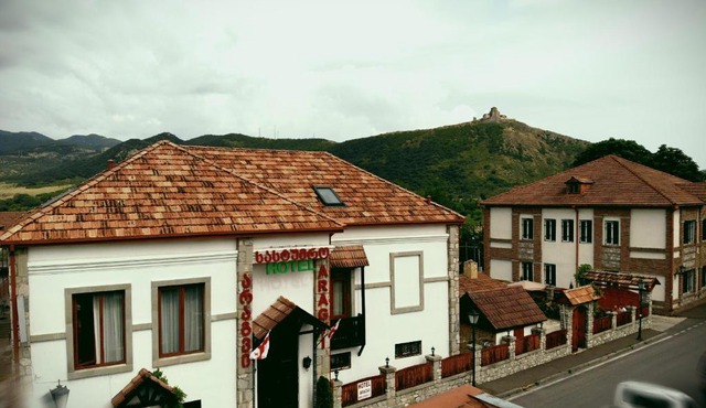 Hotel Aragvi