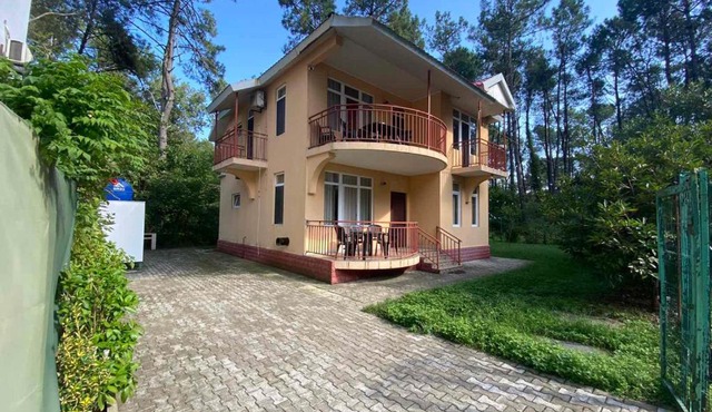 House in Shekvetili