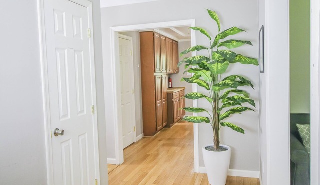 Huge house by Princeton University! Fits up to 22! in Princeton