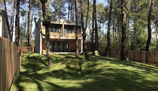 Kaprovani Pine Grove