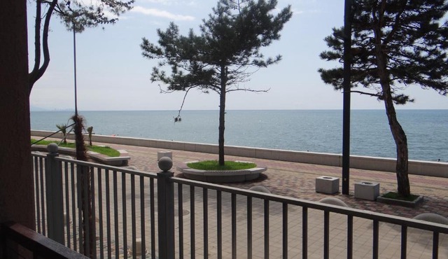 Kobuleti-Seashore-Sanapiro #66
