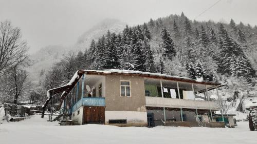 Laia's Guesthouse