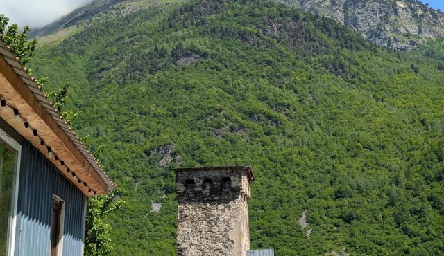 LAMPAREULA - ლამპარეულა