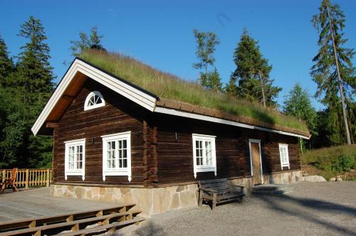 Latitude in Torestorp