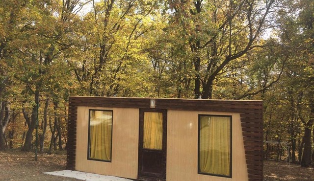 Little house in the big wood
