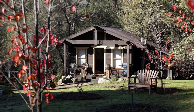 Lovers’ Cabin; Gateway to Yosemite National Park and more! in Oakhurst