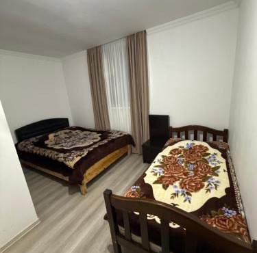 Mamukas Guest house in Racha