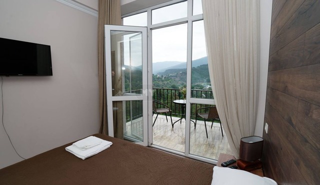 Modern apartment in Borjomi