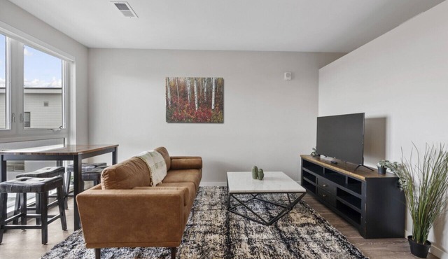 Modern Apt Near Denver Health in Denver
