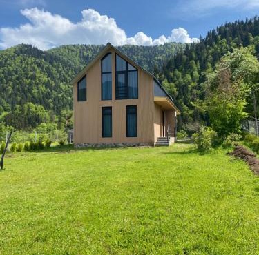 MTA house - Borjomi