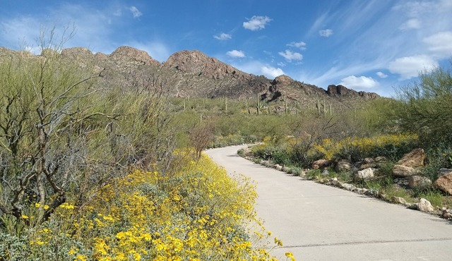 Nestled on Pusch Ridge Mountain in Oro Valley with full kitchen in Oro Valley
