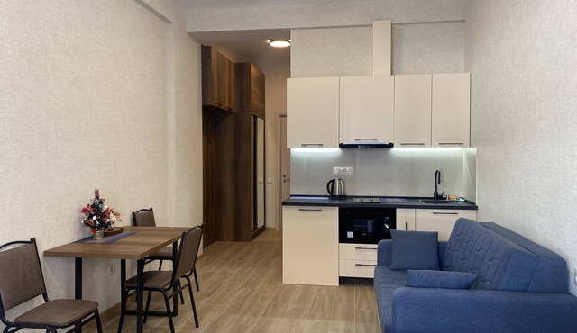 new project cozy apartment/mountain view