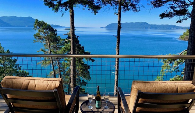 NEW! STUNNING 350 FT OCEANFRONT! Sauna Gym Theater Firepit Piano 18 Ft Ceilings in Olga