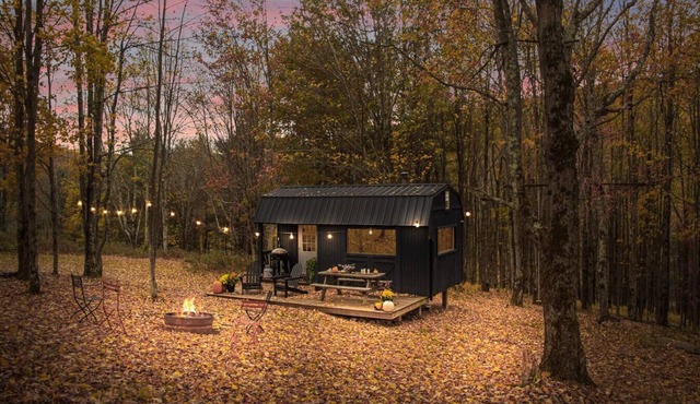 Off-Grid Tiny Cabin with Cozy Vintage Charm in Bovina