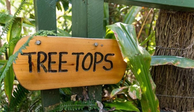 Palm Beach Bungalows: Treetops in Palm Beach