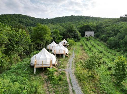 Peace Camp Gremi