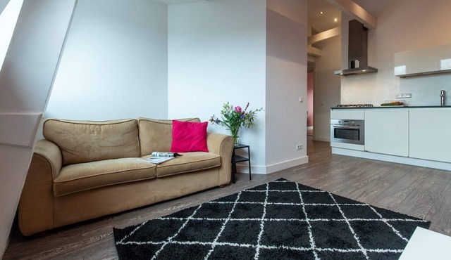 Penthouse spacious apartment with canal view in Amsterdam
