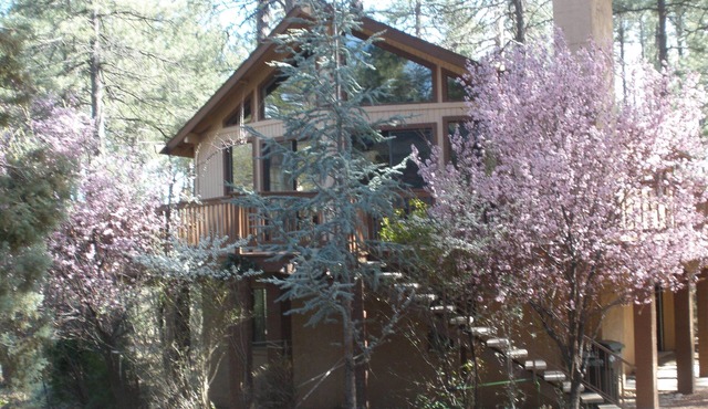 Privacy! One & 1/2 acre with wrap around deck. Backs the National Forest. in Pine