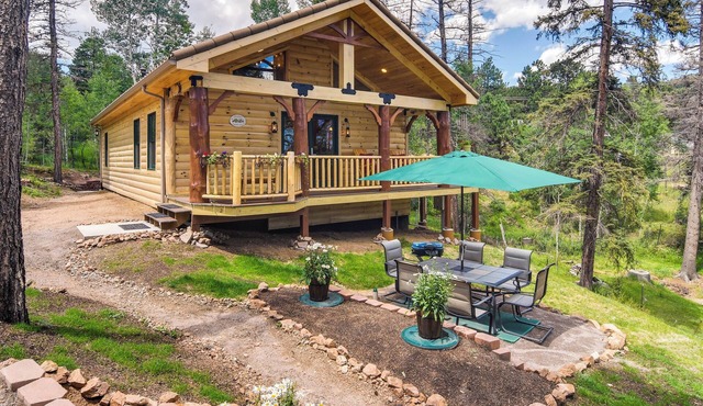 Private Hot Tub & Pond: Conifer Log Cabin in Conifer