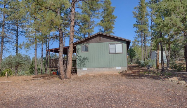 Private Mountain Get-A-Way in the Pines in Show Low